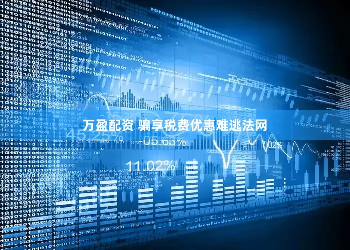 万盈配资 骗享税费优惠难逃法网