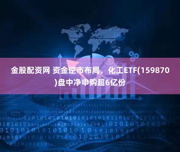 金股配资网 资金逆市布局，化工ETF(159870)盘中净申购超6亿份
